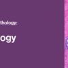 2021 Classic Lectures in Pathology: What You Need to Know: Breast Pathology (CME VIDEOS)