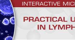USCAP Practical Updates in Lymphoma 2018 (CME VIDEOS)