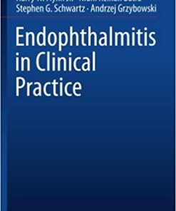 Endophthalmitis in Clinical Practice 1st ed. 2018 Edition