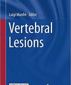 Vertebral Lesions (New Procedures in Spinal Interventional Neuroradiology) 1st ed. 2017 Edition