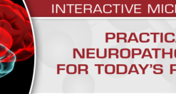 USCAP Practical Neuropathology for Today’s Practice – Interactive Microscopy 2019 (CME VIDEOS)