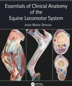 Essentials of Clinical Anatomy of the Equine Locomotor System 1st Edition