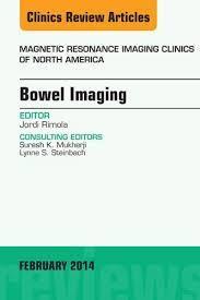 MR Imaging of the Bowel, An Issue of Magnetic Resonance Imaging Clinics of North America, E-Book (The Clinics: Radiology)