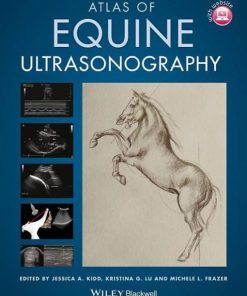 Atlas of Equine Ultrasonography 1st Edition