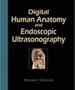 Digital Human Anatomy and Endoscopic Ultrasonography