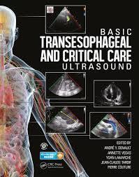 Basic Transesophageal and Critical Care Ultrasound 1st Edition