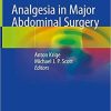 Analgesia in Major Abdominal Surgery 1st ed. 2018 Edition