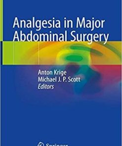 Analgesia in Major Abdominal Surgery 1st ed. 2018 Edition