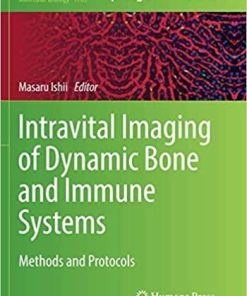 Intravital Imaging of Dynamic Bone and Immune Systems: Methods and Protocols (Methods in Molecular Biology) Softcover reprint of the original 1st ed. 2018 Edition