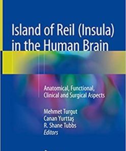 Island of Reil (Insula) in the Human Brain: Anatomical, Functional, Clinical and Surgical Aspects 1st ed. 2018 Edition