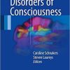 Coma and Disorders of Consciousness 2nd ed. 2018 Edition