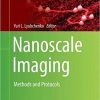 Nanoscale Imaging: Methods and Protocols (Methods in Molecular Biology (1814)) Softcover reprint of the original 1st ed. 2018 Edition