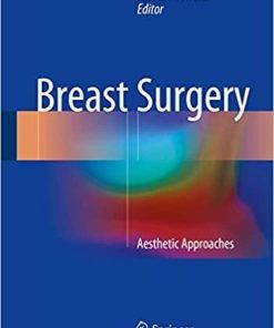 Breast Surgery: Aesthetic Approaches 1st ed. 2018 Edition