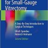 Practical Handbook for Small-Gauge Vitrectomy: A Step-By-Step Introduction to Surgical Techniques 2nd ed. 2018 Edition