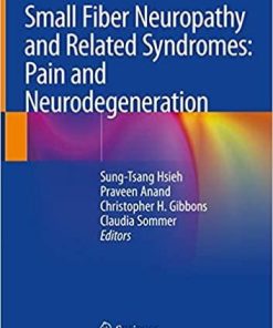 Small Fiber Neuropathy and Related Syndromes: Pain and Neurodegeneration 1st ed. 2019 Edition