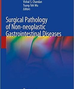 Surgical Pathology of Non-neoplastic Gastrointestinal Diseases 1st ed. 2019 Edition