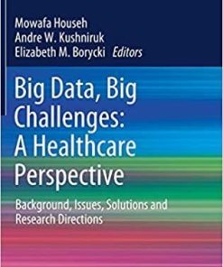 Big Data, Big Challenges: A Healthcare Perspective: Background, Issues, Solutions and Research Directions (Lecture Notes in Bioengineering) 1st ed. 2019 Edition