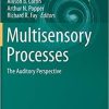 Multisensory Processes: The Auditory Perspective (Springer Handbook of Auditory Research) 1st ed. 2019 Edition