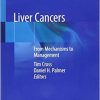 Liver Cancers: From Mechanisms to Management 1st ed. 2019 Edition