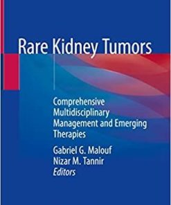 Rare Kidney Tumors: Comprehensive Multidisciplinary Management and Emerging Therapies 1st ed. 2019 Edition