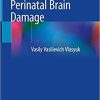 Birth Trauma and Perinatal Brain Damage 1st ed. 2019 Edition