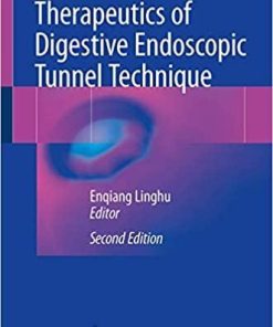 Therapeutics of Digestive Endoscopic Tunnel Technique 2nd ed. 2020 Edition