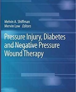 Pressure Injury, Diabetes and Negative Pressure Wound Therapy (Recent Clinical Techniques, Results, and Research in Wounds (3)) 1st ed. 2020 Edition