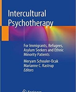 Intercultural Psychotherapy: For Immigrants, Refugees, Asylum Seekers and Ethnic Minority Patients 1st ed. 2020 Edition