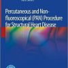 Percutaneous and Non-fluoroscopical (PAN) Procedure for Structural Heart Disease 1st ed. 2020 Edition