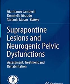 Suprapontine Lesions and Neurogenic Pelvic Dysfunctions: Assessment, Treatment and Rehabilitation (Urodynamics, Neurourology and Pelvic Floor Dysfunctions) 1st ed. 2020 Edition