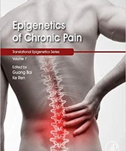 Epigenetics of Chronic Pain (Volume 7) (Translational Epigenetics, Volume 7) 1st Edition