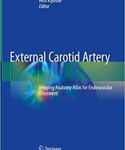 External Carotid Artery: Imaging Anatomy Atlas for Endovascular Treatment 1st ed. 2020 Edition