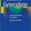 Pediatric Gynecology: An Illustrated Guide for Surgeons 1st ed. 2020 Edition