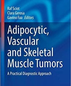 Adipocytic, Vascular and Skeletal Muscle Tumors: A Practical Diagnostic Approach (Current Clinical Pathology) 1st ed. 2020 Edition