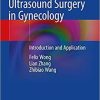 Focused Ultrasound Surgery in Gynecology: Introduction and Application 1st ed. 2021 Edition