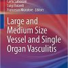 Large and Medium Size Vessel and Single Organ Vasculitis (Rare Diseases of the Immune System) 1st ed. 2021 Edition