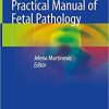 Practical Manual of Fetal Pathology 1st ed. 2021 Edition