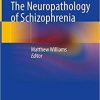 The Neuropathology of Schizophrenia 1st ed. 2021 Edition