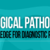 USCAP Gynecological Pathology: Essential Knowledge for Diagnostic Practice 2022 CME VIDEOS