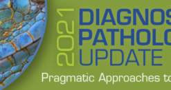 USCAP 2021 Diagnostic Pathology Update: Pragmatic Approaches to Daily Practice CME VIDEOS