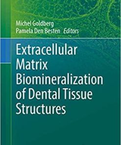 Extracellular Matrix Biomineralization of Dental Tissue Structures (Biology of Extracellular Matrix, 10) 1st ed. 2021 Edition