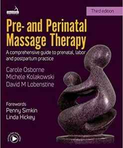 Pre- and Perinatal Massage Therapy: A comprehensive guide to prenatal, labor and postpartum practice 3rd Edition