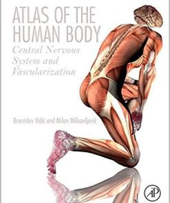 Atlas of the Human Body: Central Nervous System and Vascularization 1st Edition