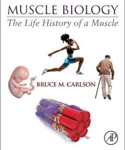 Muscle Biology: The Life History of a Muscle 1st Edition