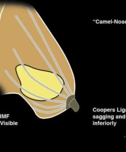 Imaging Mastery Series: Regulatory/Standards of Care in Breast Imaging 2021