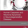 Human Caspases and Neuronal Apoptosis in Neurodegenerative Diseases 1st Edition