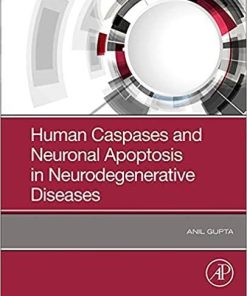 Human Caspases and Neuronal Apoptosis in Neurodegenerative Diseases 1st Edition