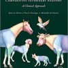 Comparative Veterinary Anatomy: A Clinical Approach 1st Edition