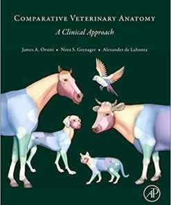 Comparative Veterinary Anatomy: A Clinical Approach 1st Edition