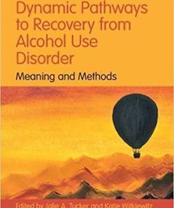 Dynamic Pathways to Recovery from Alcohol Use Disorder: Meaning and Methods